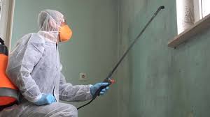 North Miami, FL Mold Remediation Company